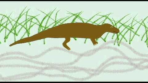PL3_MAMMAL EVOLUTION: INTRO TO SYNAPSID REPTILES