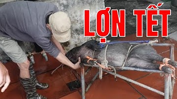 Cỗ Tết Lòng Lợn Tiết Canh Trong Ngày Mưa Gió Tháng Củ Mật Trên Quê Lúa Thái Bình