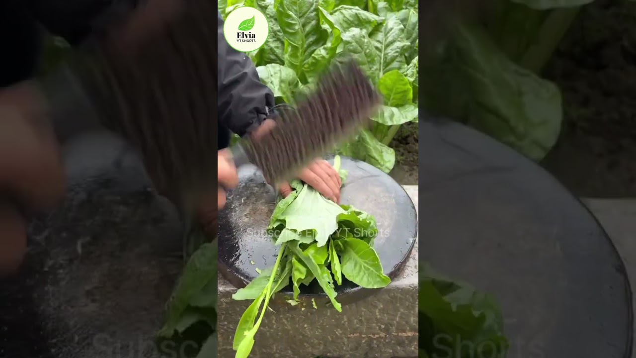 RT‑7102 Ridge & Tillage Secrets 🌱 