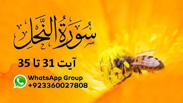 Surah Al-Nahl | سورة النحل | Ayah 31 - 35 | Quran Urdu Translation Only