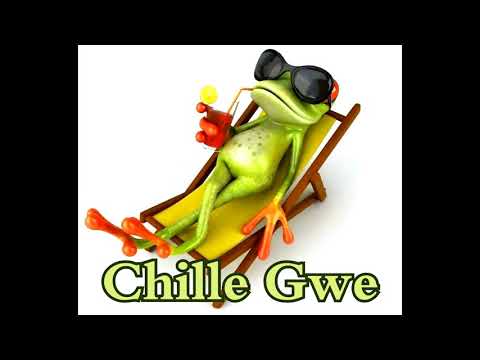 Boyman x Mallyman (Mix 2000) - Chille Gwe (Prod. By Digital Vincent)