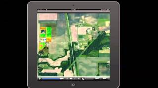 Acre Crop Scouts