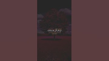 سورة النمل الآية(١٩) بصوت القارئ #بلال_دربالي