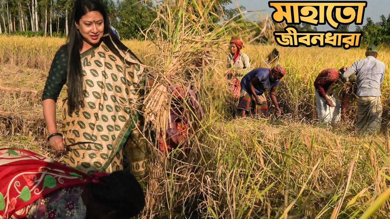 প্রাচীন জনগোষ্ঠী মাহাতোদের জীবনধারা || Lifestyle of Mahato Ancient Ethnic Community