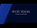 Arctic voices by susan griesdale rcm 3  piano repertoire