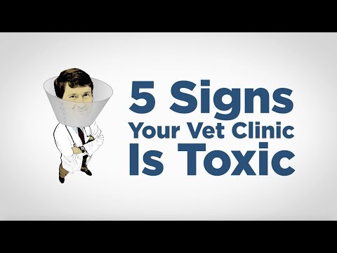 Video: Klauskite veterinarui: kodėl nekenčiame gėdos kūgio?