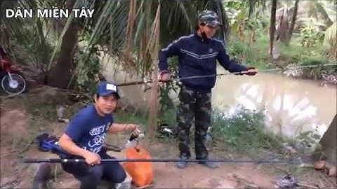 Chuyến đi câu cá tra sông Bình Đại | DÂN MIỀN TÂY