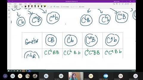 Chap 16 (Part 3) Genetic Diagrams Worksheet Discussion | Cambridge A-Level 9700 Biology