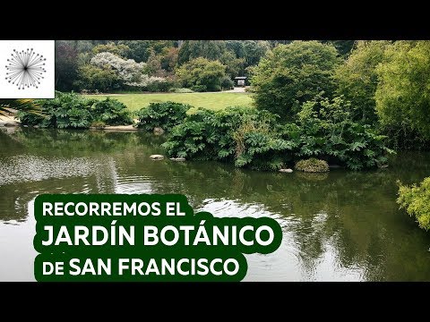 Vídeo: Jardín botànic de San Francisco: la guia completa
