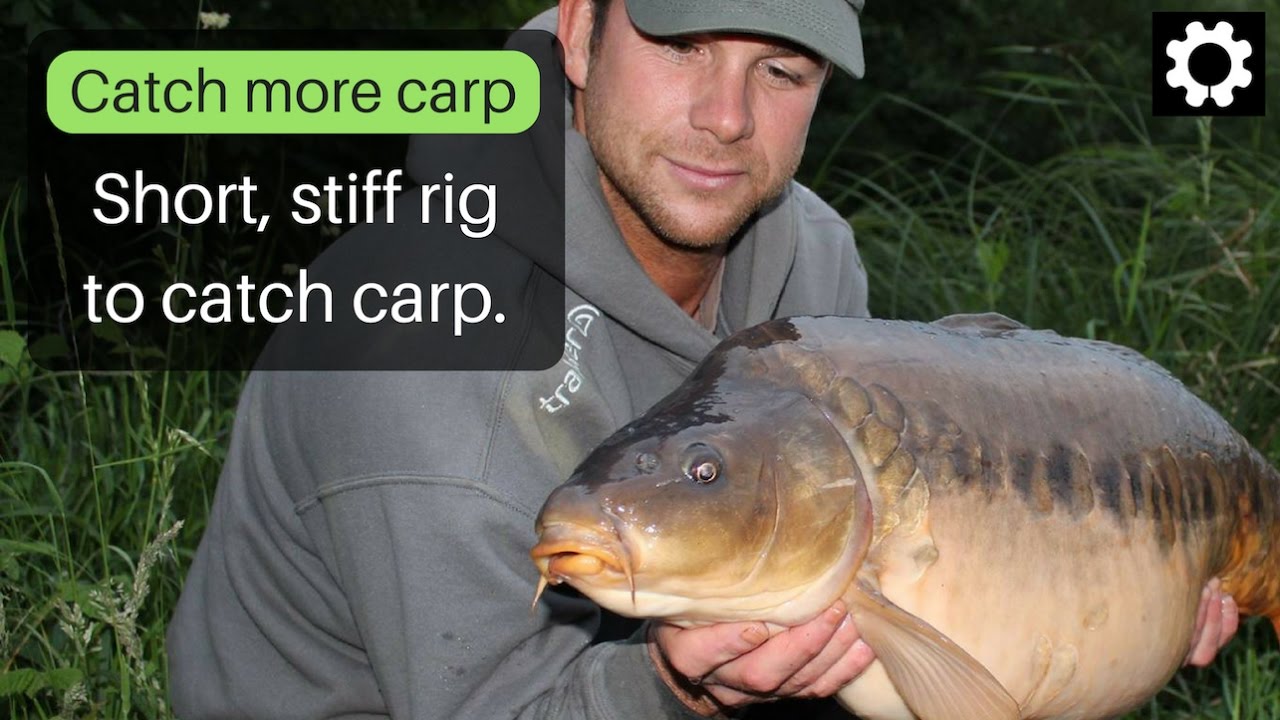 Carp fishing tips. Baitworks short rig. 