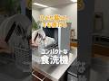 【食洗機】賃貸&ひとり暮らしでも置ける!ラクアmini color #shorts