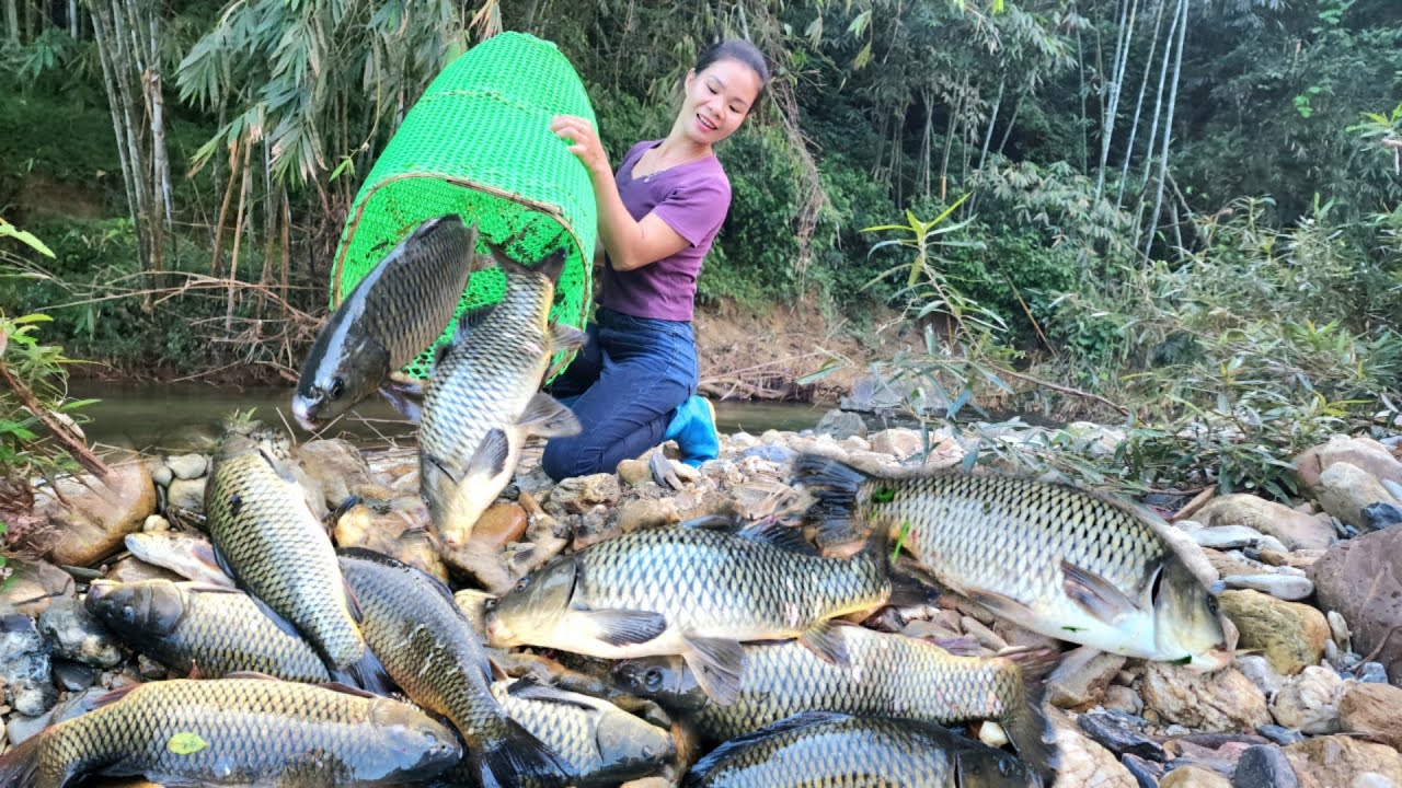 The girl set a trap in the stream and unexpectedly caught a lot of big ...