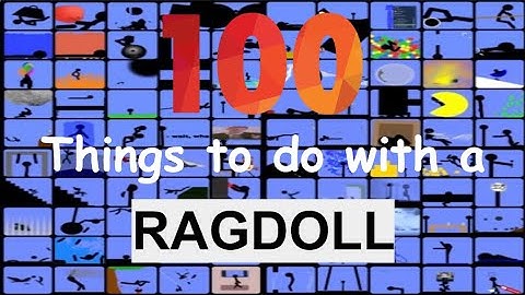 100 Things to do wtih a Ragdoll