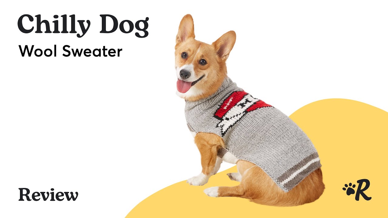 the bay dog sweater