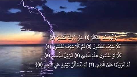 سورة التكاثر - وديع اليمني