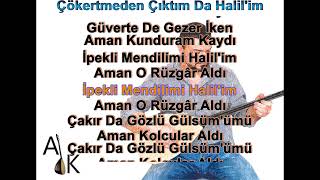 Çökertmeden Çıktım Da Halil'im #karaoke  #türkü #türküler #türkülerimiz Resimi