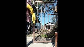 Про выбор пылесоса. Покраска забора подходит к концу. Ура! Крашу ворота