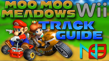 Mario Kart 8: Moo Moo Meadows (Wii) - Track Guide / Analysis