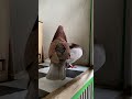 Tief merpati yg sangat galak