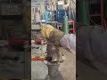 plantilla cambio de punta hausen o eje trasero eaton #taller #mechanic #tainco