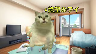 猫ミームコロナで無職になったワイ