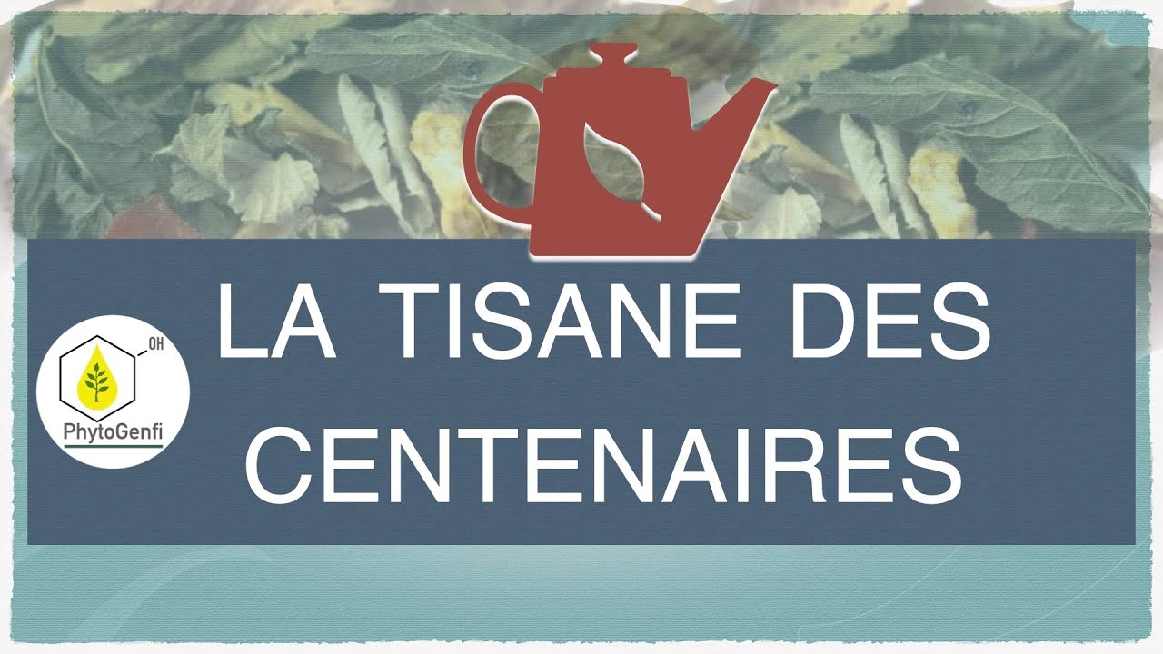 La tisane des centenaires