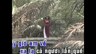 Cây Cầu Dừa Ngọc Sơn