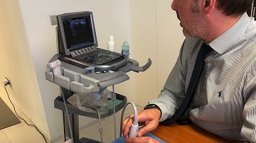 Collateral ligament PIP