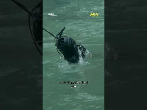المتاعب لا تتوقف