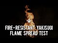 Fire-Resistant Yakisugi - Flame Spread Test w/ Nakamoto Forestry
