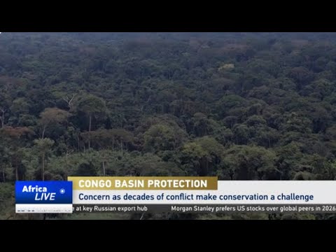 Congo Basin at center of COP30 climate talks