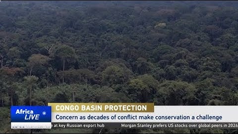 Congo Basin at center of COP30 climate talks