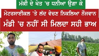 4 ਜੂਨ 2020 ਪੂਰੀ ਜਾਣਕਾਰੀ ਧਨੀਆ🌱🌱 ਗਰਮੀ ਰੁੱਤ ਦੇ ਵਿੱਚ ਕਿਵੇਂ ਕਾਮਯਾਬ ਕਰ ਸਕਦੇ ਹਾਂ  Panjaab ਪੈਦਾਵਾਰ