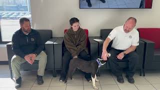 Meet SJ: Adoption Tuesday! by Williams Toyota Of Binghamton 77 views 3 months ago 2 minutes, 45 seconds