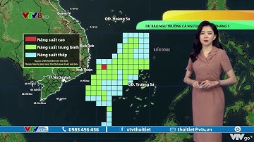 Bản tin thời tiết biển ngày 06/05/2022: Ngư trường cá ngừ đại dương tháng 5 | VTVWDB