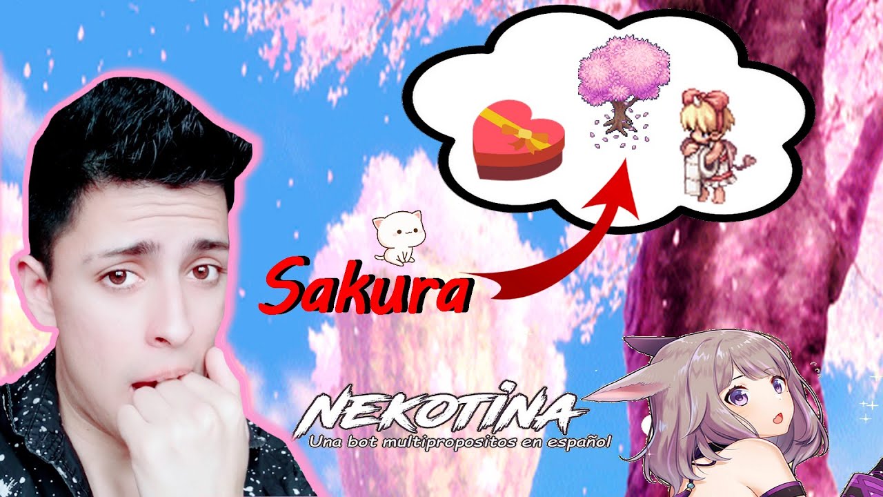 Nekotina C mo Entrar A Sakura YouTube