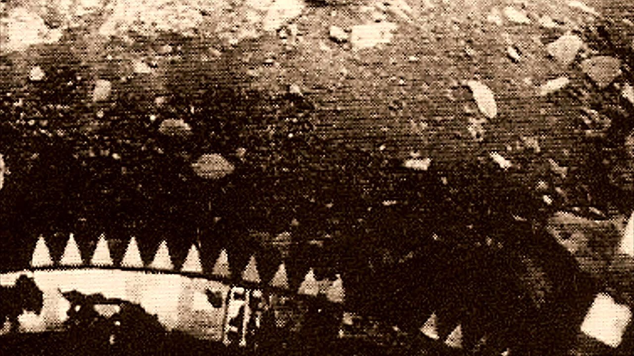 Venus, objects... is there life on venus? youtube