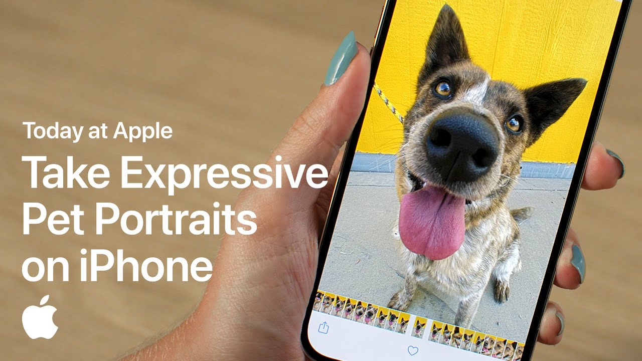 Take Expressive Pet Portraits on iPhone with Sophie Gamand | Apple - YouTube