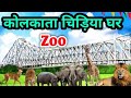 Kolkata Alipur Zoo Live