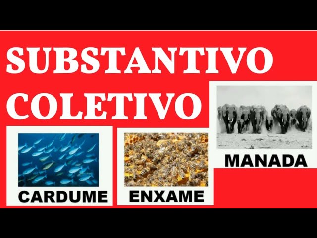 Substantivos Coletivos Facil