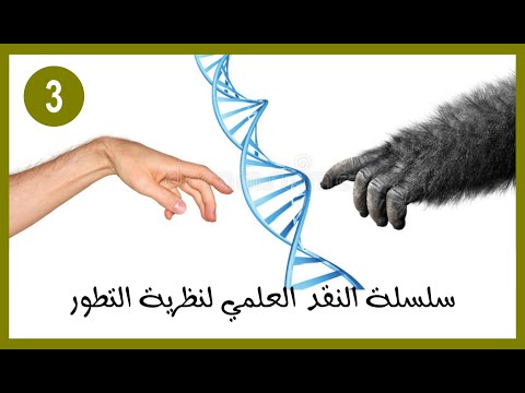 نظرية التطور - سلسلة النقد العلمي 3. الانفجار الكامبري