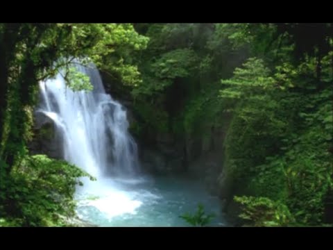  Update New  국가의 중추 : 대만의 멋진 산