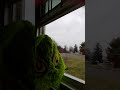 #shorts #crazy #grinch