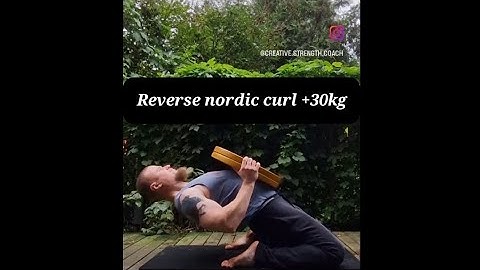 Reverse nordic curl +30kg/66lb x2