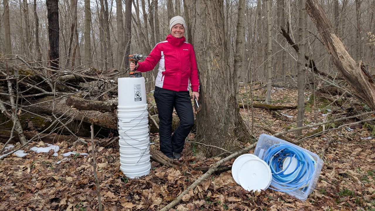 Our Maple Syrup/Tapping Setup for 2025!