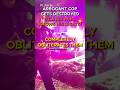 Kid Owns Cops With FACTS! Cops Get Schooled, Silenced and Dismissed by Young Guy Refusing to ID