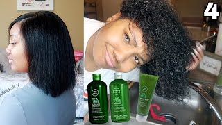 Real Hair Series: STRAIGHT TO CURLY | Paul Mitchell Tea Tree Line + DANDRUFF SCRATCHING ASMR