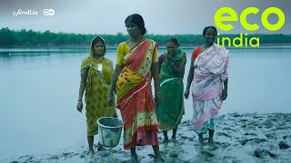 Eco India: West Bengal's 'Tiger Widows' unite to protect the endangered Sundari mangrove tree