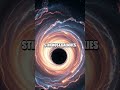 Dark Threads: Black Holes Linking Darkness to the Cosmos