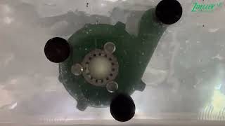 Zoeller Shark Series 2702 Grinder Pump Test Video